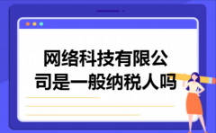 网络科技有限公司是一般纳税人吗