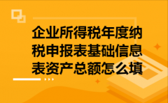 企业所得税年度纳税申报表基础信息表资产总额
