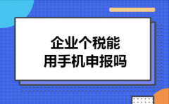 企业个税能用手机申报吗