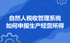 自然人税收管理系统如何申报生产经营所得