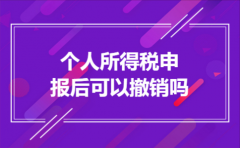 个人所得税申报后可以撤销吗