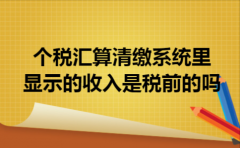 个税汇算清缴系统里显示的收入是税前的吗