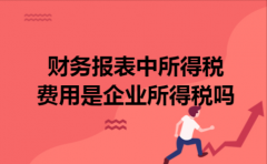 财务报表中所得税费用是企业所得税吗