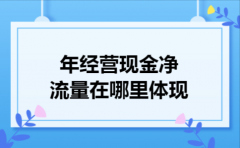  年经营现金净流量在哪里体现