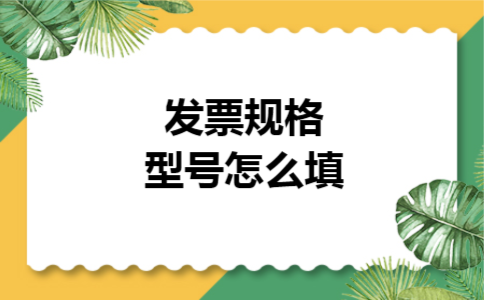 发票规格型号怎么填