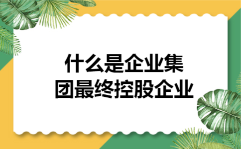  什么是企业集团最终控股企业