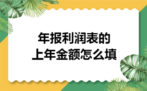 年报利润表的上年金额怎么填