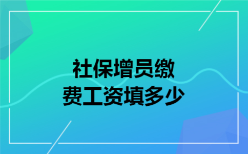 社保增员缴费工资填多少 社保增员缴费工资填多少