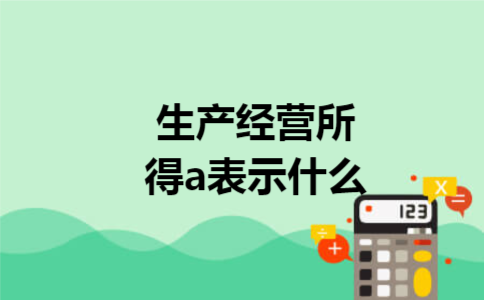  生产经营所得a表示什么