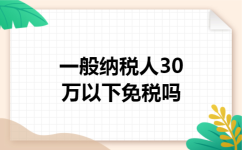 一般纳税人30万以下免税吗
