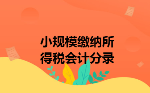 小规模缴纳所得税会计分录