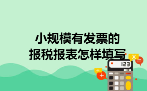 小规模有发票的报税报表怎样填写 小规模有发票的报税报表怎样填写
