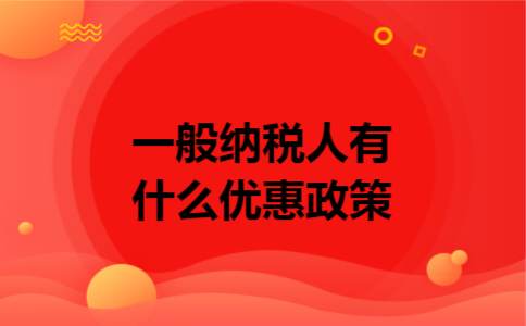一般纳税人有什么优惠政策