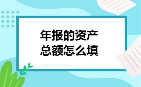 年报的资产总额怎么填