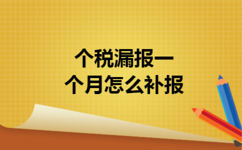 个税漏报一个月怎么补报