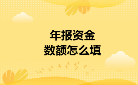 年报资金数额怎么填 年报资金数额怎么填
