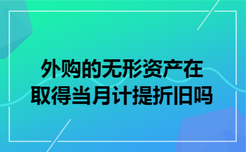 外购的无形资产在取得当月计提折旧吗