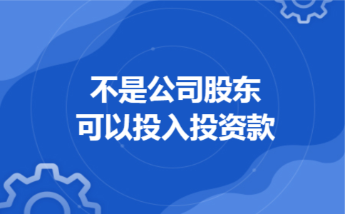 不是公司股东可以投入投资款