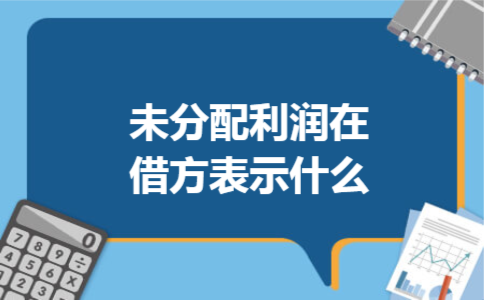 未分配利润在借方表示什么 未分配利润在借方表示什么