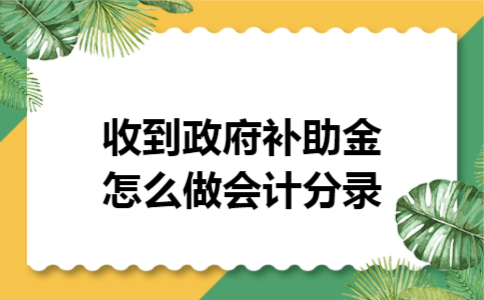 收到政府补助金怎么做会计分录 收到政府补助金怎么做会计分录