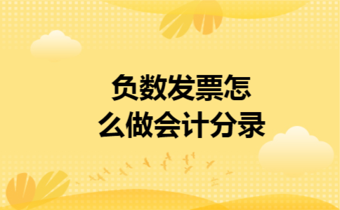 负数发票怎么做会计分录