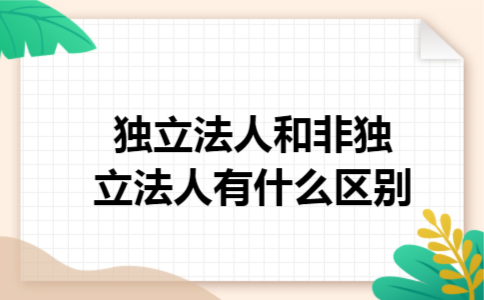 独立法人和非独立法人有什么区别