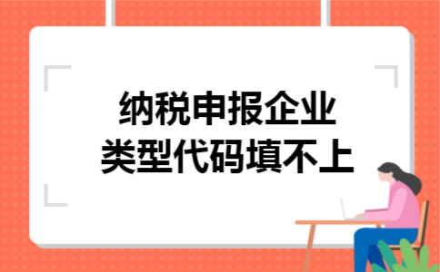 纳税申报企业类型代码填不上