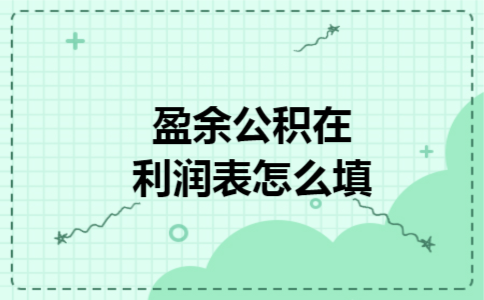 盈余公积在利润表怎么填 盈余公积在利润表怎么填