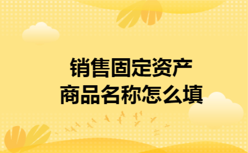 销售固定资产商品名称怎么填