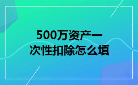 500万资产一次性扣除怎么填