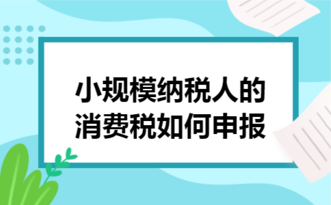 小规模纳税人的消费税如何申报