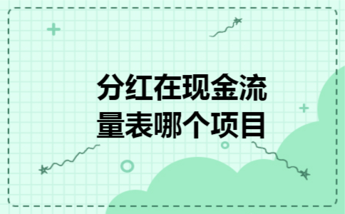 分红在现金流量表哪个项目 分红在现金流量表哪个项目