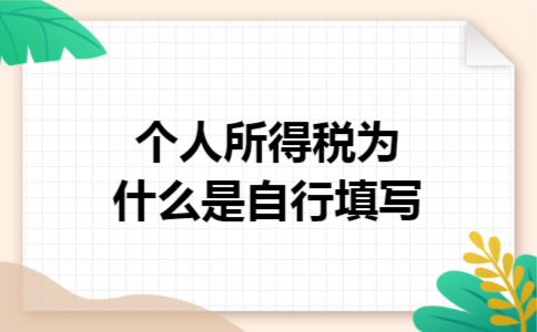 个人所得税为什么是自行填写 个人所得税为什么是自行填写