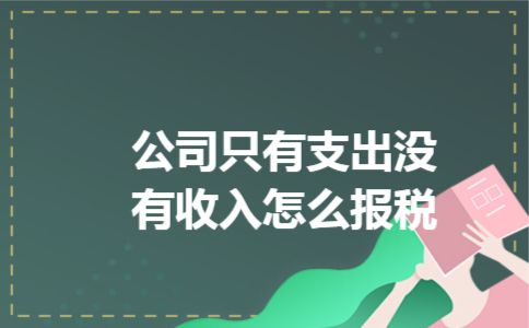 公司只有支出没有收入怎么报税 公司只有支出没有收入怎么报税