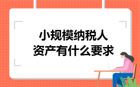 小规模纳税人资产有什么要求