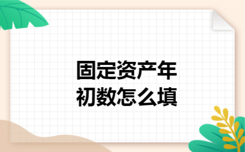固定资产年初数怎么填