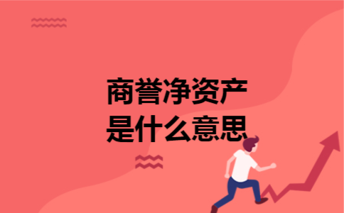 商誉净资产是什么意思 商誉净资产是什么意思