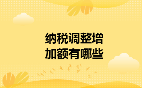 纳税调整增加额有哪些