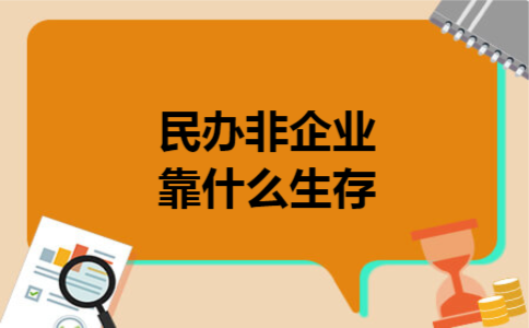  民办非企业靠什么生存