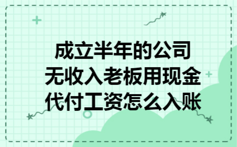 成立半年的公司无收入老板用现金代付工资怎么入账