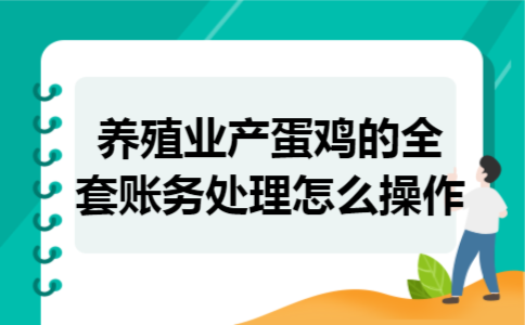 养殖业产蛋鸡的全套账务处理怎么操作 养殖业产蛋鸡的全套账务处理怎么操作