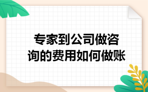 专家到公司做咨询的费用如何做账