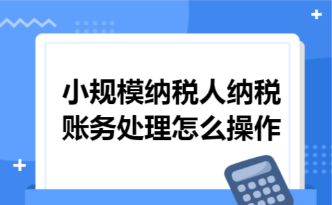 小规模纳税人纳税账务处理怎么操作