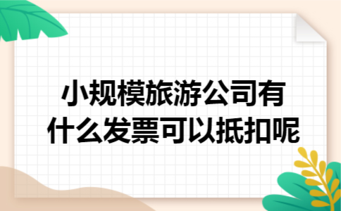 小规模旅游公司有什么发票可以抵扣呢