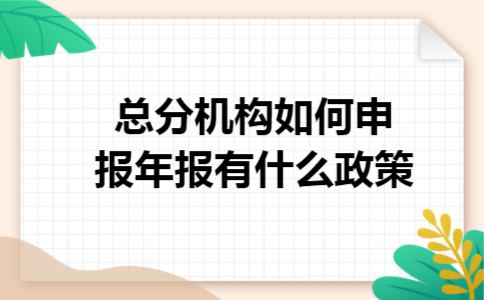 总分机构如何申报年报有什么政策