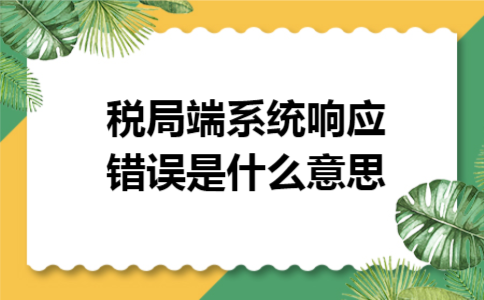 税局端系统响应错误是什么意思