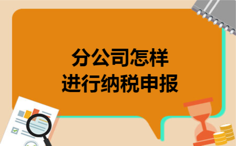 分公司怎样进行纳税申报