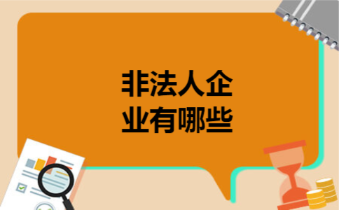  非法人企业有哪些