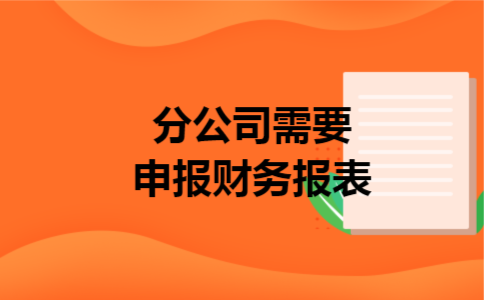 分公司需要申报财务报表