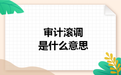 审计滚调是什么意思